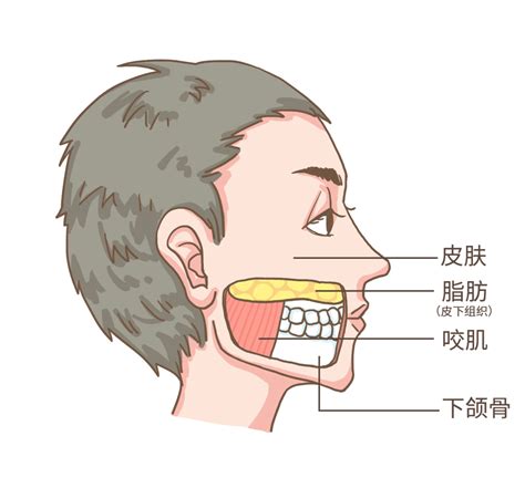 腮骨大男|发腮，是一个人成熟的标志